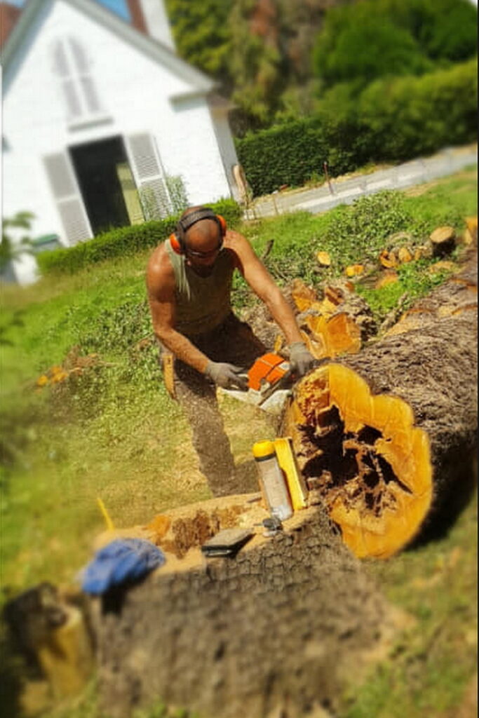 anthony des cimes aux sols